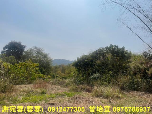 田寮農地-1
