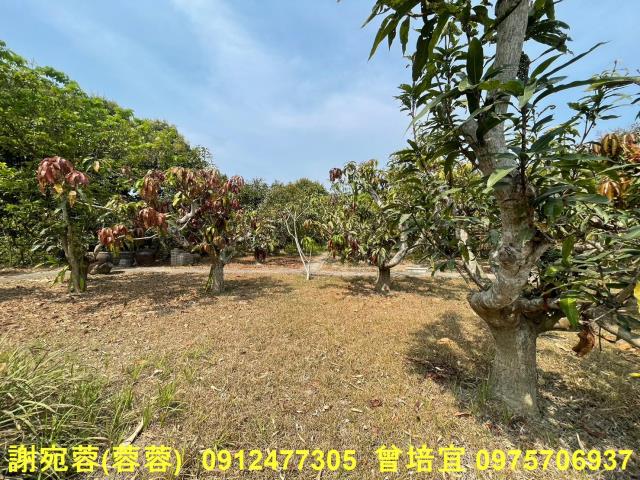 田寮農地-2