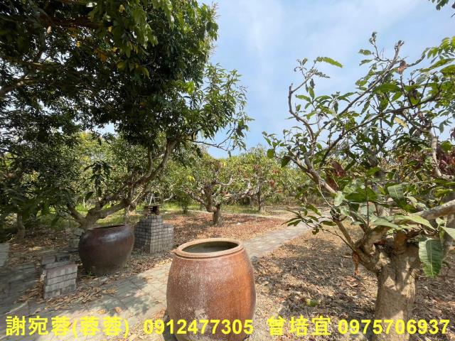 田寮農地-3