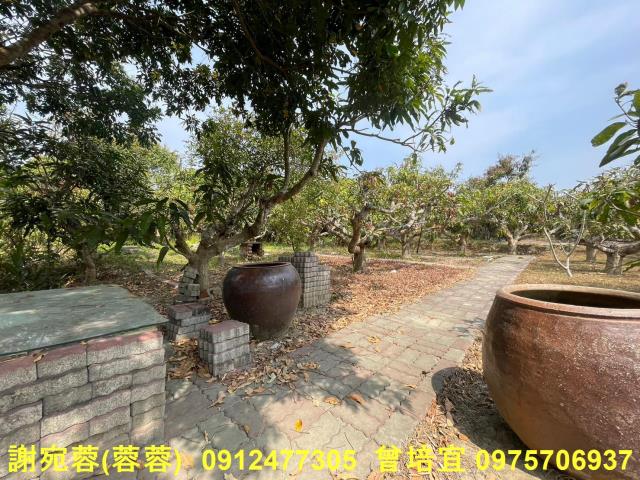 田寮農地-4