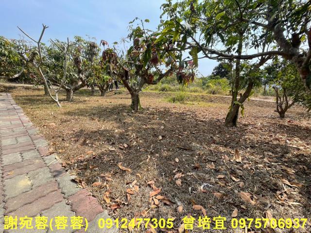 田寮農地-6