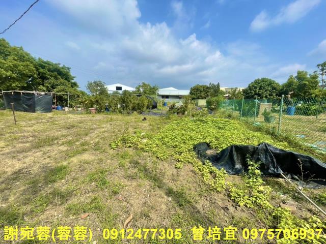 路竹農地-0