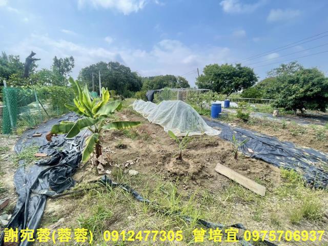路竹農地-5