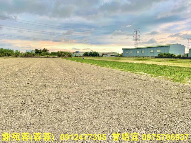 湖內農地-3